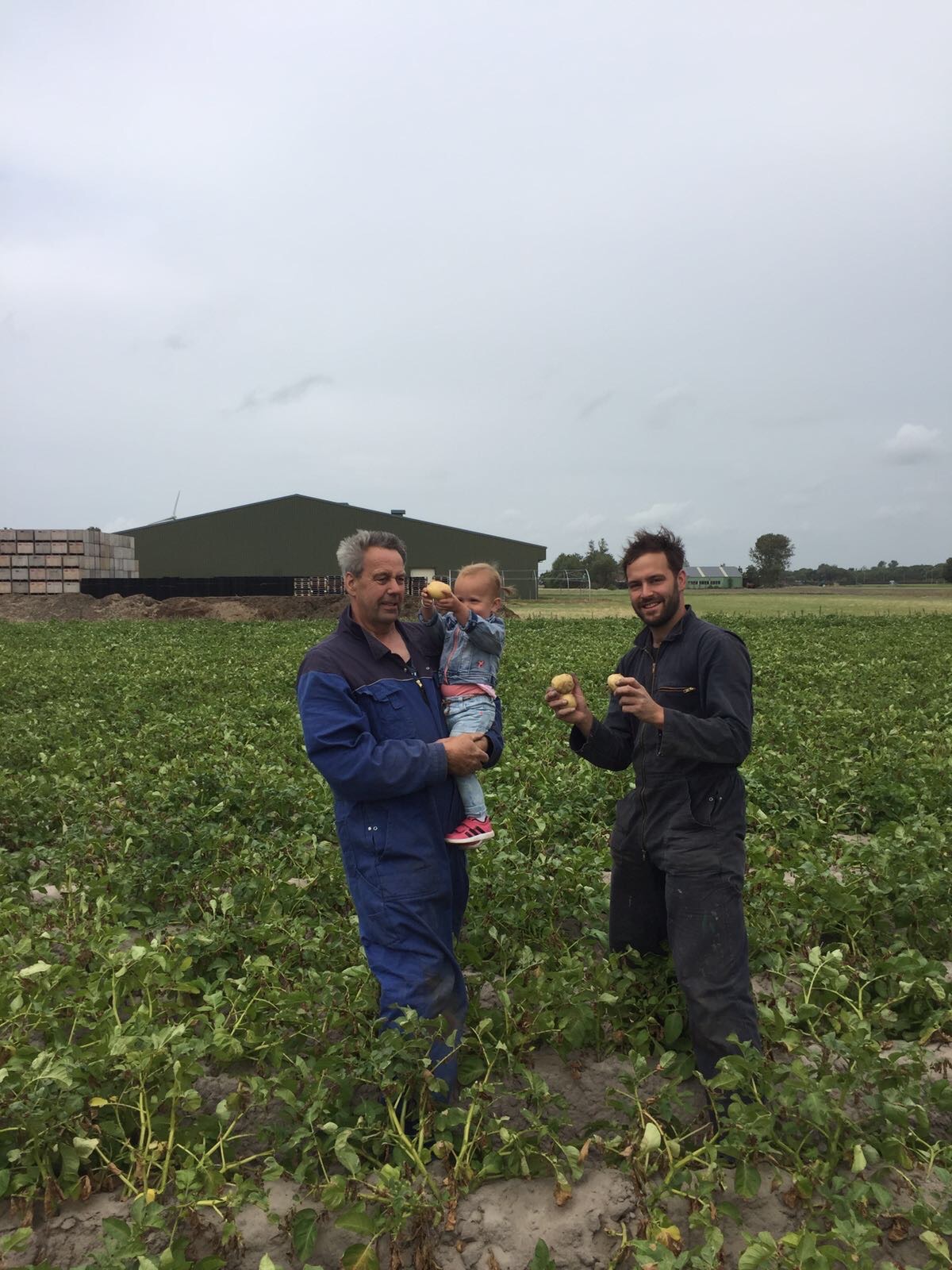 Stam family — three generations in potatoes since 1966
